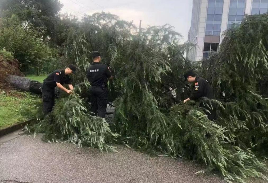 C:/Users/BA/Desktop/風(fēng)雨過(guò)后南京保安迅速行動(dòng)，恢復(fù)安“寧”面貌/1.jpg1