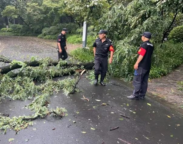 C:/Users/BA/Desktop/風(fēng)雨過(guò)后南京保安迅速行動(dòng)，恢復(fù)安“寧”面貌/7.jpg7
